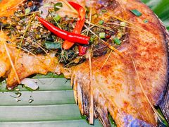 傣族香茅草烤罗非鱼-雀舞·私食(凯德店)