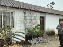 -苏州市吴中区光福窑上花果蜜饯厂