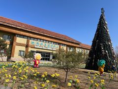 -南宫五洲植物乐园