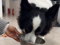 -佳雯宠物医院·皮肤科·内外科(春晓路分院)