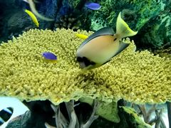 -上海海洋水族馆