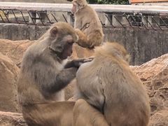 -昆明动物园