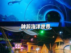 -威海华夏城景区