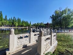 -莱西月湖公园