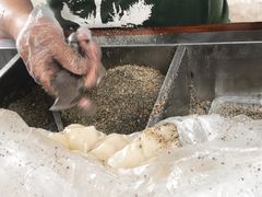 -叶氏麻糍(鼓浪屿店)