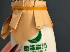 -德禄酸奶(莫家街店)