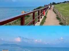 -小麦岛公园
