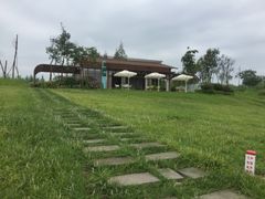 景点-桤木河湿地公园