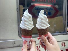 -富豪雪糕车流动点(尖沙咀店)
