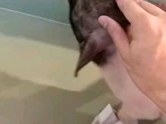 -朕悦鹧鸪饭私房菜