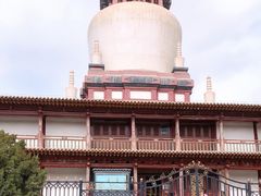 -张掖大佛寺景区