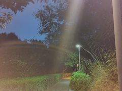 -聚龙山公园