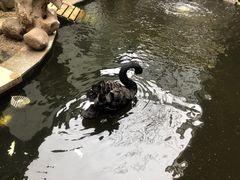 -湖鲜楼