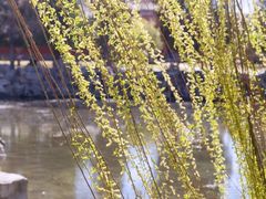 -莲池书院博物馆