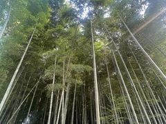 -同里国家湿地公园