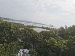 -鲜力达果品批发直销(青山店)