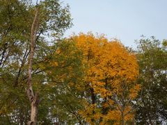 -天津东丽湖风景区