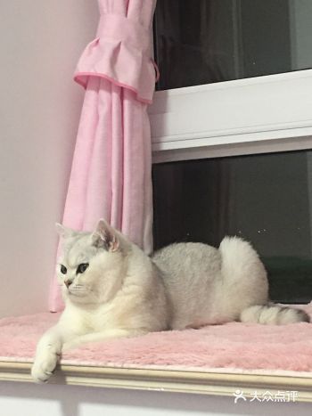 可乐小朋友，最近又长胖了啦。抱着明显感觉中了很多