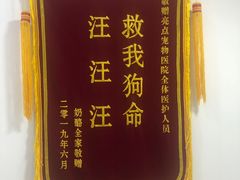 -美联众合动物医院(·中兽医·疑难杂症·严家桥分院)