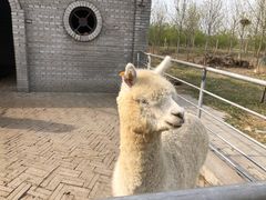 -红石沟生态休闲农场