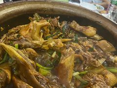 -霞姐屯昌枫木香草鸭店(海螺店)