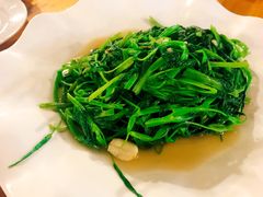 -Draft Beer Restaurant & Bar