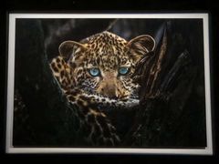 -罗红摄影艺术馆