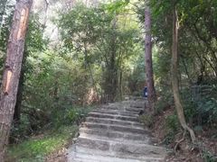 -狐尾山公园