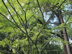 -熙春园餐厅