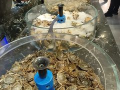 -汉江山料理级自助烤肉黑金冠(周口好吃城店)