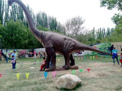 android_upload_pic-红光山景区