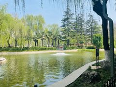 -西安市长乐公园