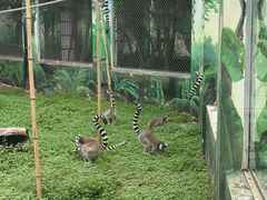 -西安秦岭野生动物园