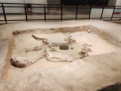 -洛阳周王城天子驾六博物馆