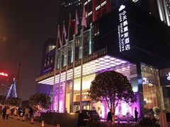 -长沙小天鹅戴斯酒店