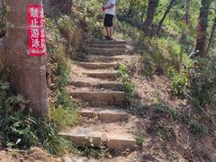 -青龙山国家森林公园