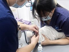 -宠物星动物医院·眼科·异宠·猫科(江南大道总院)