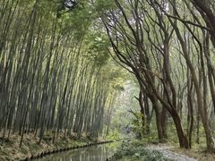 -同里国家湿地公园