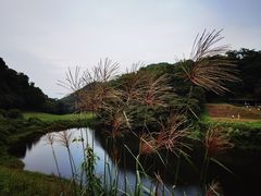-观澜湖高尔夫球会