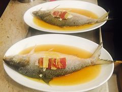 -老洋房花园饭店(绍兴路店)