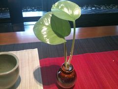 -江南忆茶坊(城市店)