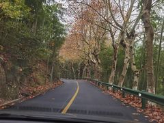 -莫干山风景区