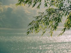 -东江湖旅游区