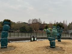 -东湖景区