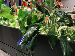 -管氏翅吧(台湾街店)