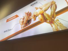 -蛙老爹·蜀香美蛙鱼头(王家湾店)