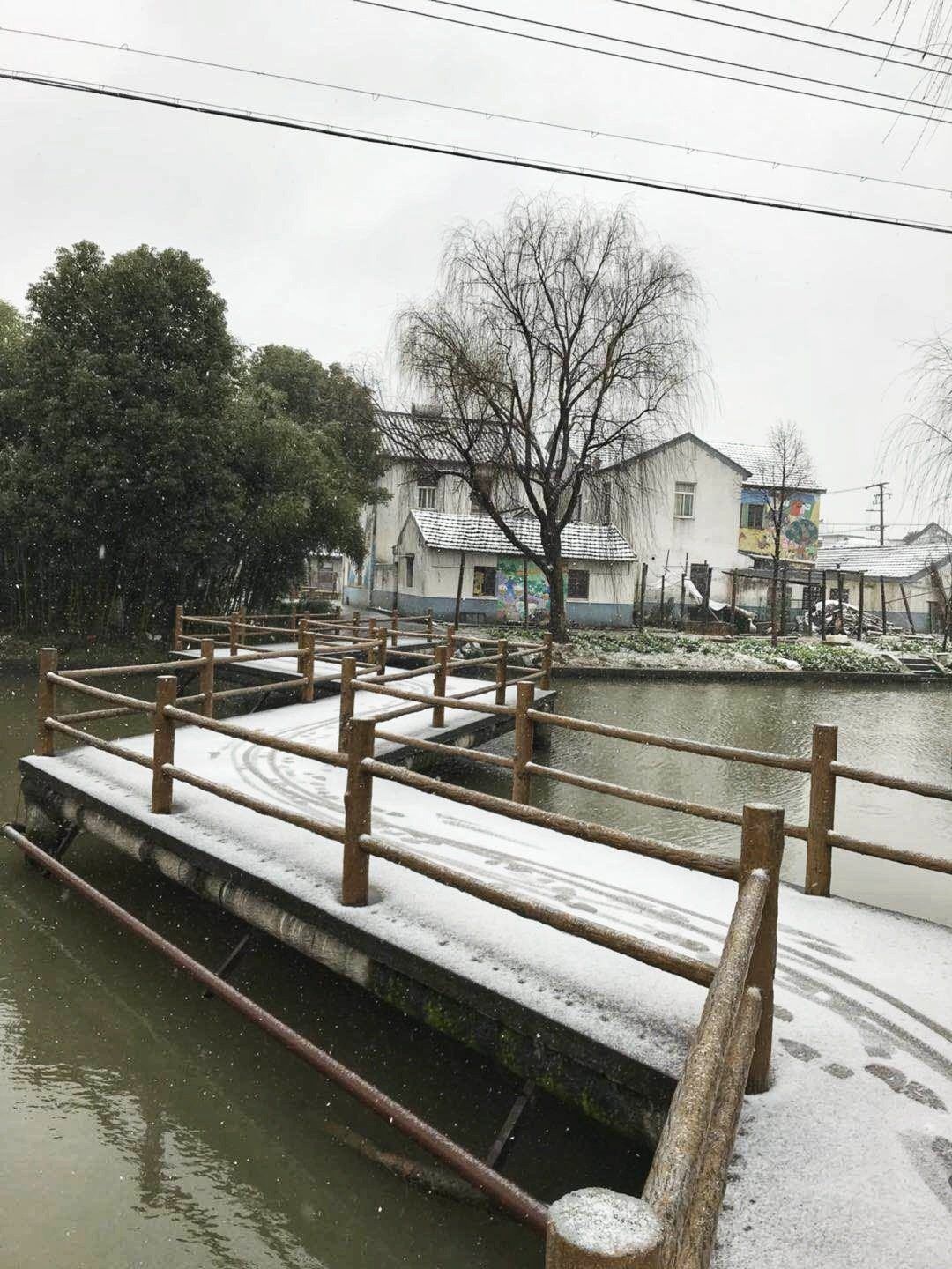 金山枫泾古镇中国农民画村
