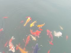-白马涧龙池景区