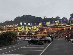 -枇杷园食为鲜火锅(南山店)