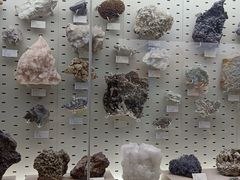 -浙江自然博物院(杭州馆)